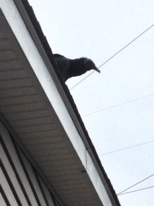 He seemed to like what I was saying...but who knows?