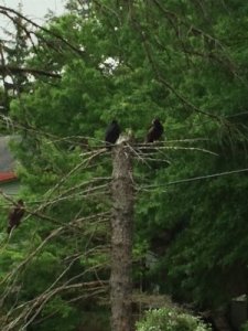 The beginning of the venue.