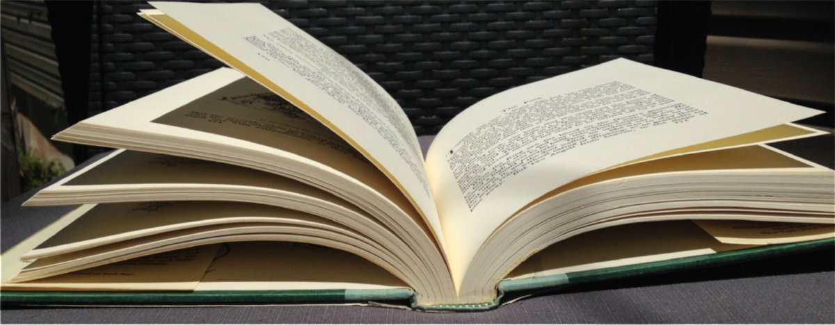 Words – Interview with Author Karen&nbsp;Katchur