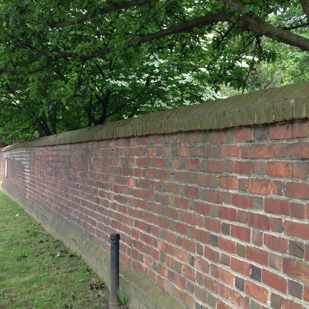 Visiting old friends