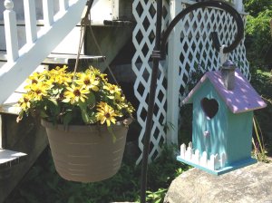 zinnias_and_birdhouse