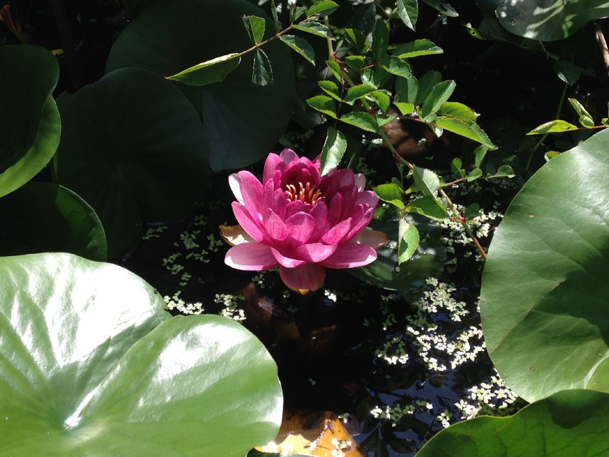 Life’s Little Surprises