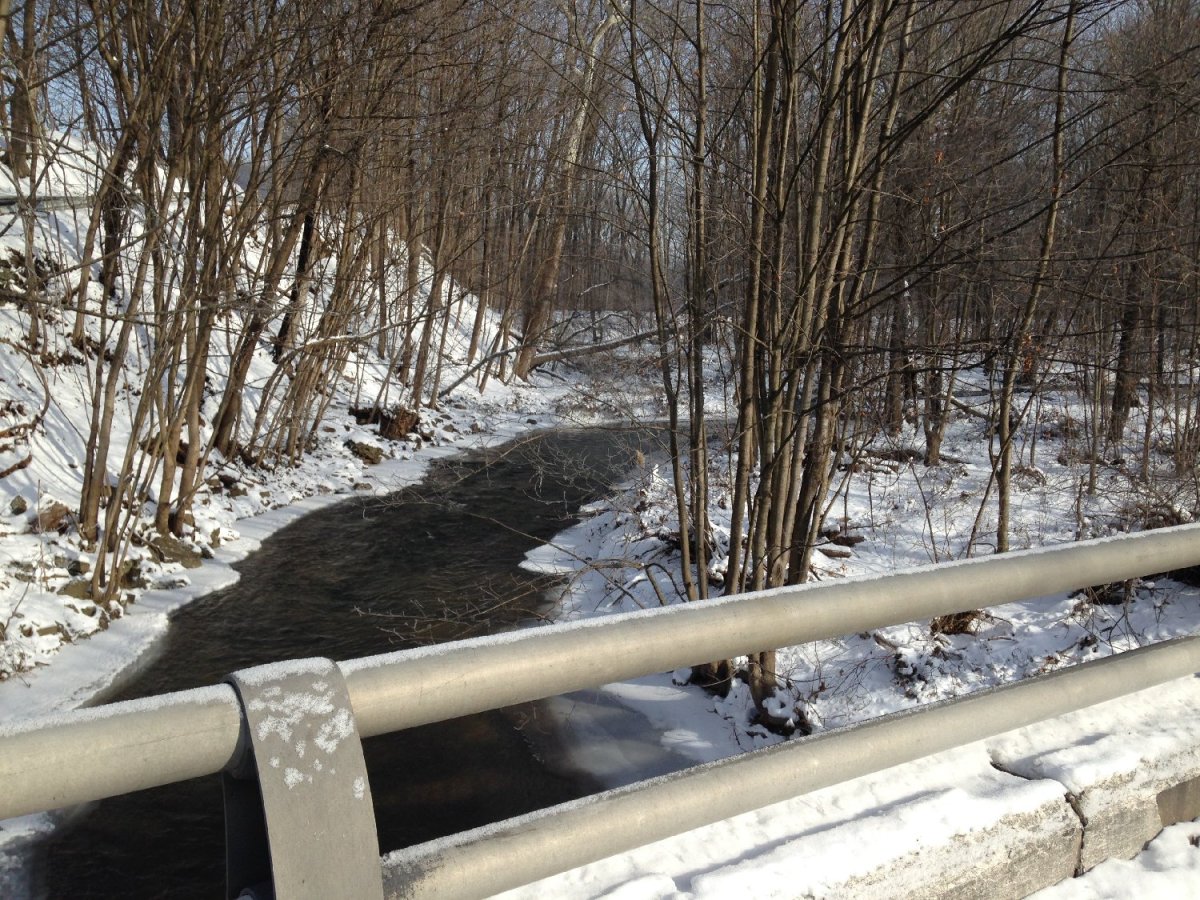 It’s a Love-Hate&nbsp;Thing…