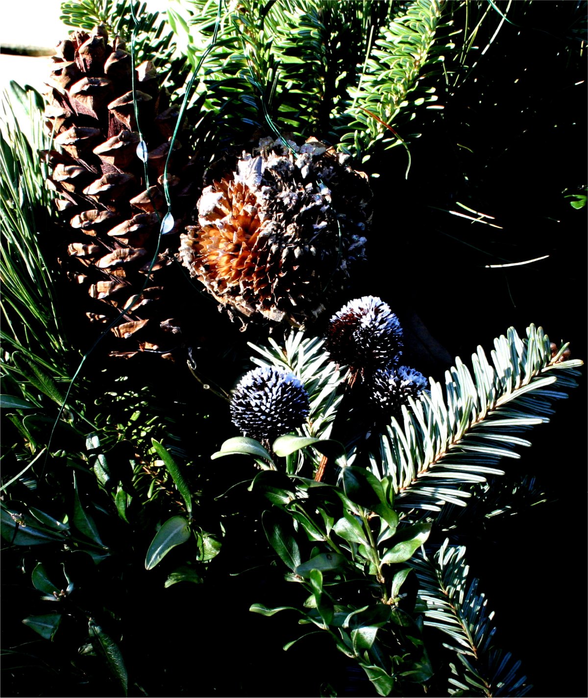 Christmas Lighting – Don’t I&nbsp;Wish?