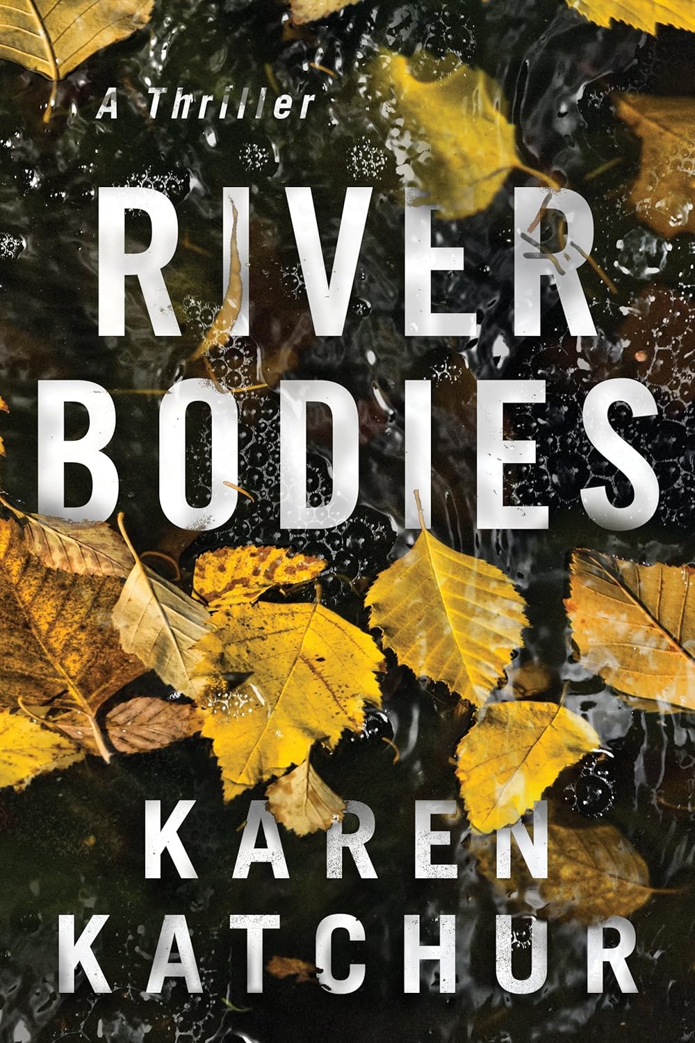 Review – River Bodies by Karen&nbsp;Katchur